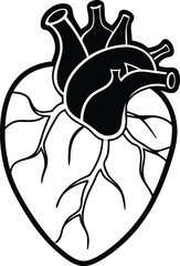 Human heart design over white background vector illustration. Human heart anatomy. Heart medical science vector illustration 