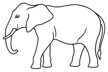 Minimalist Elephant Line Art Vector