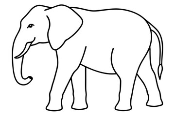 Minimalist Elephant Line Art Vector