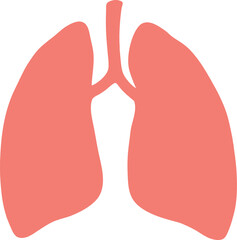 Lungs Human organs hand drawn vector illustration line art. Human lungs. Medical illustration. Vector on white background