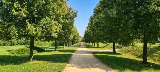 path in the park