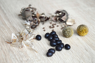 Collection of various flower seeds