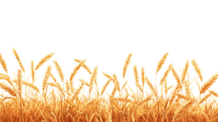 A digitally illustrated image shows a field of ripe golden wheat ready for harvest against a black background.