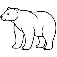 Minimalist Polar Bear Line Art Vector