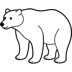 Minimalist Polar Bear Line Art Vector