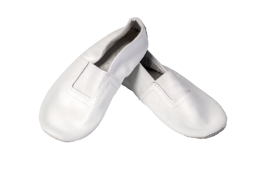  dancing shoes isolate