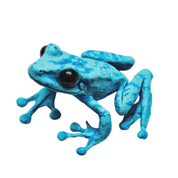 Playful Blue Frog Made of Solid White Playdough Set Against a Clean Background for Creative Needs