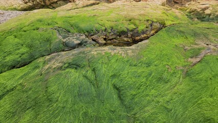 China Camp CA State Park