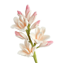 Fototapeta premium Delicate Playdough Flowers in Soft White and Pink on a Solid Background for Creative Art and Craft Projects