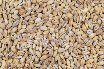 Pearl barley, pearled barley. Food background.