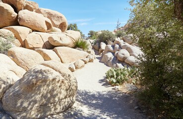 Joshua Tree National Park's beautiful Barker Dam Trail