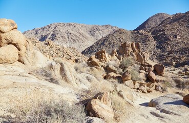 Joshua Tree National Park's epic Fortynine Palms Oasis hike