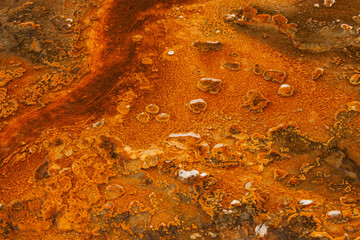Hot spring runoff with algae growth