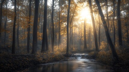 Fototapeta premium A tranquil forest with tall trees, soft sunlight filtering through the leaves, and a peaceful stream flowing through the woods