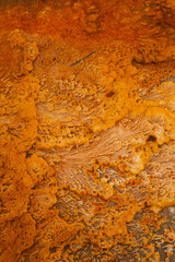 Abstract of an algae mat in an hot spring