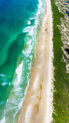 Preserved Brazilian beach with sandbanks and splendid nature on a sunny day with green sea