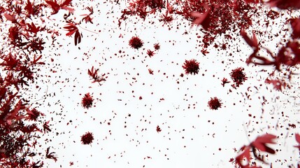 red flowers against a white sky 