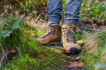 Person Wearing Hiking Boots On A Nature Forest Trail