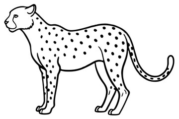 Sleek Cheetah Minimalist Line Art Vector