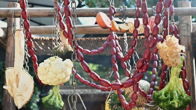 Cocina tradicional mexicana en Oaxaca