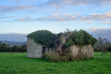 Obraz premium Cuadra de piedra derruida en pradera de Asturias