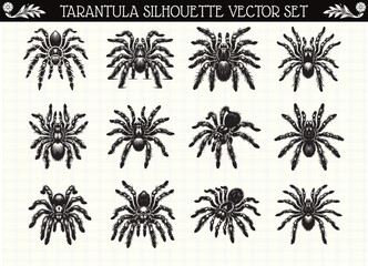 Tarantula Silhouette Black Color Spider Clipart for Logos and Designs