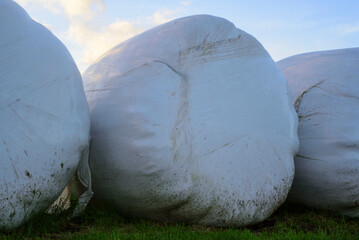 Fila de silos de paja plastificados y cielo de nubes al atardecer