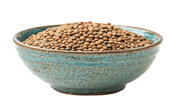A Bowl of Lentils Symbolizing Growth and Abundance Isolated On Transparent Background.