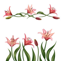 Beautiful pink lily flowers. Buds. Border. Isolated. Floral background. Bouquet. Green leaves. Set.