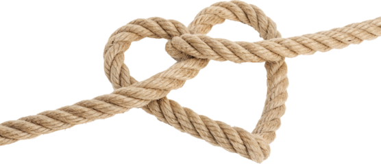 Heart-Shaped Knot Art