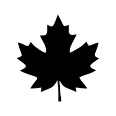 Maple leaf silhouette. Canadian leaf. Vector illustration.