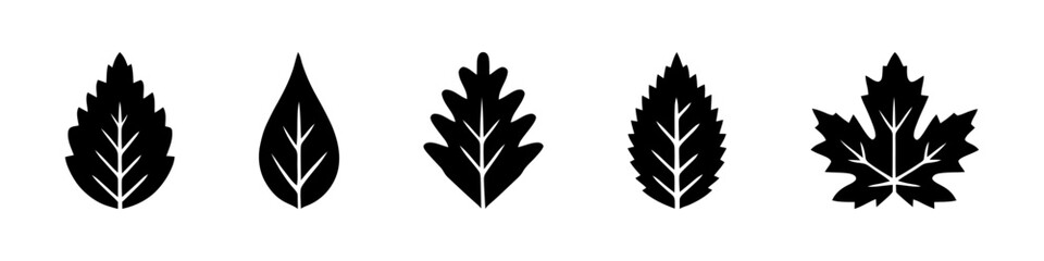 Leaves silhouettes set. Various tree foliage collection. Vector illustration.