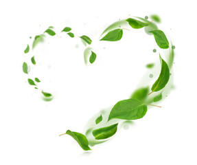 beautiful heart made of fresh green leaves swirling in the wind and standing out against a transparent background