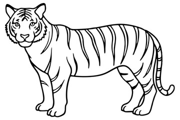 Tiger in One Stroke – Vector Art