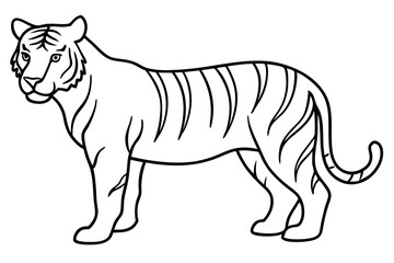 Tiger in One Stroke – Vector Art