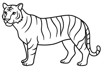 Tiger in One Stroke – Vector Art