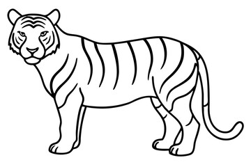 Tiger in One Stroke – Vector Art
