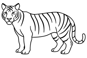 Tiger in One Stroke – Vector Art