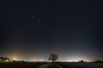 Einsamer Baum mit Sternenhimmel - Jupiter - Mars - Venus - Mürztal - Sankt Lorenzen