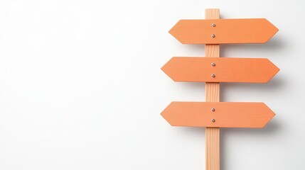 Road sign with multiple arrows pointing in different directions, symbolizing decision-making, isolated on white background
