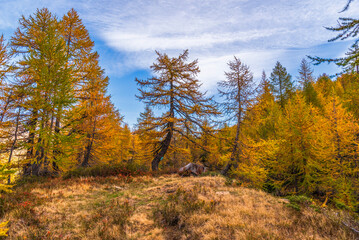 Fototapeta premium autumnal mountain landscape inside the Alpe Devero, Val D'Ossola, Verbania, Italia