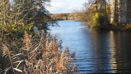 reeds along the shore of an autumn lake with different focus