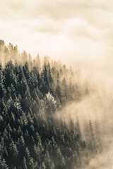 Sonnenaufgang Hochlantsch - Teichalm - Almenland - Oststeiermark - Nebelmeer - Hochnebel - Nebelwald