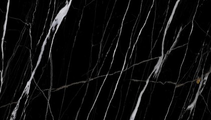 luxurious black marble texture with elegant white veins, high-resolution stone pattern for interior design, flooring, and background