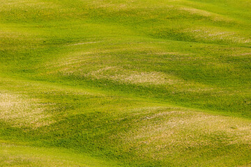 verdi colline toscane, val d'Orcia