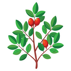 A vibrant illustration of red berries on a green plant with lush leaves.