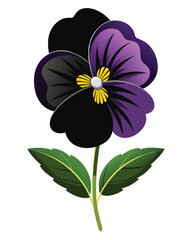 A stylized illustration of a purple and black flower with yellow accents.