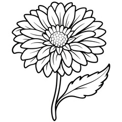 A detailed line drawing of a flower, suitable for coloring or artistic projects.