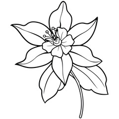 A black and white illustration of a flower with detailed petals and a central bloom.