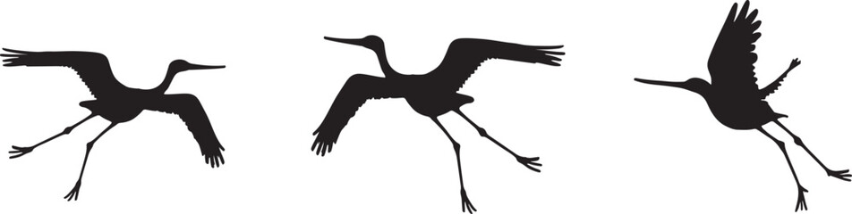 Minimalist Monochrome Stork Illustrations in Flat Design and silhouette
